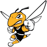 american-international-yellow-jackets