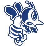 st-ambrose-fighting-bees