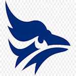tabor-bluejays