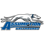 assumption-greyhound