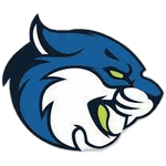 bryant-and-stratton-bobcats
